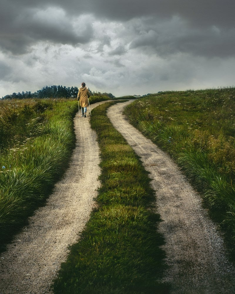 Covert Journeys